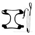 Pet harness and Leash Custom Patterns Pet Set